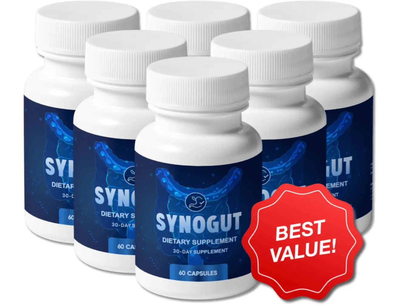 synogut - synogut discount 1321x1006